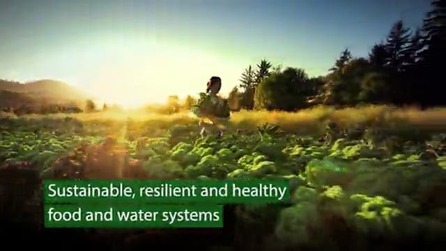 Sustainable, resilient and healthy food and water systems