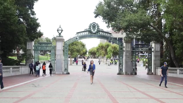 Foundation Fellowship Programs